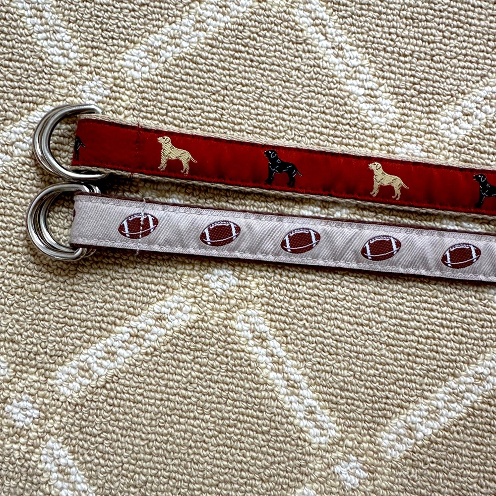 Dog (Labrador) and Football Patterned Belts